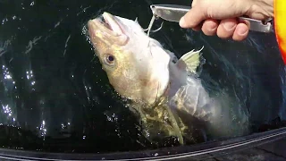 ТЯЖЁЛАЯ РЫБАЛКА / МОРСКАЯ БОЛЕЗНЬ / HEAVY FISHING / SEA SICKNESS