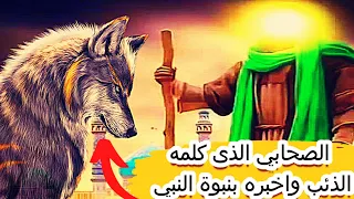 من هو الصحابي |الذي تكلم معه الذئب وشهد_بصدق النبي محمد  ﷺاقصة عجيبة لايعرفها اكثر المسلمين