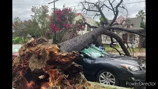 Pray for California