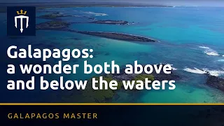 Galapagos: a wonder both above and below the waters