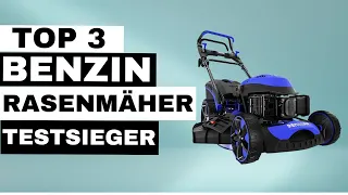 TOP 3 Benzin Rasenmäher Vergleich! BESTER Rasenmäher