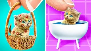 I Found Tiny Kitten! 🙀 *Cat Rescue With Hacks For Pet Owners*