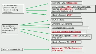 Challenges to Precision Medicine for Anti-Cancer Immunotherapy