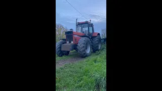 Je vous présente le nouveau tracteur de l'exploitation 1455xl
