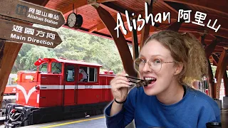 Alishan: Kinda Disappointing, But Still Worth It 🚂[Journey to Alishan Part 2]