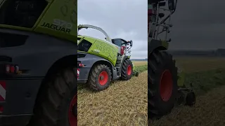 Ensilage et fauche de seigle 2024 Ferme Brabant Monchecourt