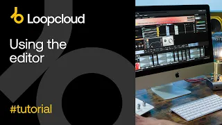 Using the Editor - Loopcloud 6