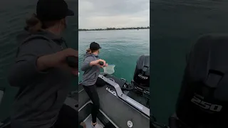 Bottom Bouncing the Detroit River for Walleye!