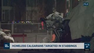 Police say series of attacks along CTrain line were hate motivated