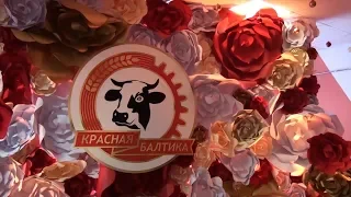 100-летие племенного завода «Красная Балтика»