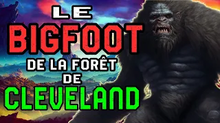 Le Bigfoot de la forêt de Cleveland (témoignage paranormal)
