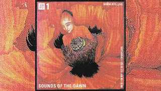 SOTD on NTS #101 [New Age / Ambient / World / Electronic / Synth / Psych / Jazz Music Cassette Mix]