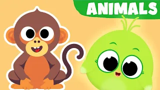 Animals Song 🎶 Learn Animals - Pop the Bubble - Giligilis Kids Songs | Lolipapi