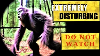 TERRIFYING SASQUATCH ENCOUNTER - Most DISTURBING One EVER #bigfoot 2023