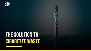 Recycling Cigarette Butts Into Cushion And Toys