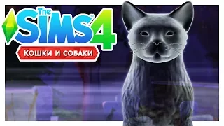 ПРИЗРАЧНЫЙ КОТ 👻The Sims 4: Кошки и собаки #5