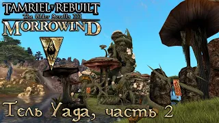 Morrowind Tamriel Rebuilt - Тель Уада, часть 2; #205 (267)