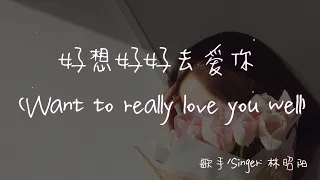 【Eng sub/Pinyin】林昭阳 - 好想好好去爱你/hao xiang hao hao qu ai ni (Want to really love you well)【動態歌詞】