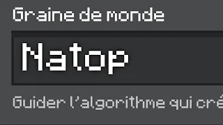 A quoi ressemble la seed "Natop" sur Minecraft bedrock ?