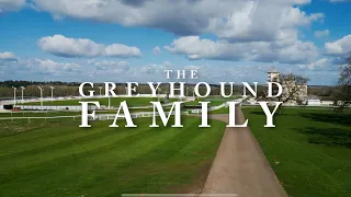 STARSPORTS 2024 Greyhound Derby Promo