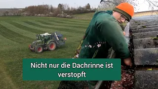 FarmVLOG#68 - Meisterprojekt striegeln und Regenarbeit