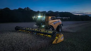 New Holland CR9 90 cutting Wheat into the night (4K)