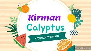 Kirman Calyptus hotel . Самый подробный обзор- 2022 г.