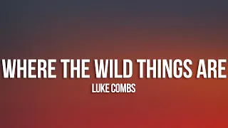 Luke Combs - Where the Wild Things Are (Lyrics)