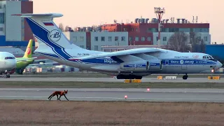 Хромая лиса и "новый" Ил-76 с динамическим торможением и рулением на двух двигателях