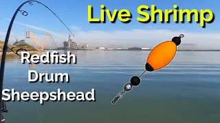 Live Shrimp & A Popping Cork For Redfish, Drum & Sheepshead