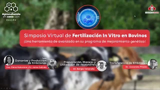 Simposio Virtual de Fertilización In Vitro en Bovinos - República Dominicana