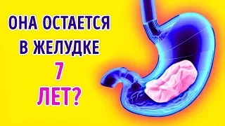 Что Произойдет, Если Проглотить Жевательную Резинку