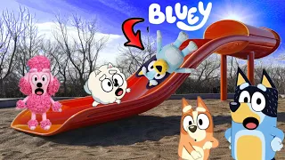 BLUEY Y BINGO en español jugando en el parque de juegos para niños en la vida real con la familia