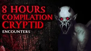 8 HOURS OF HORROR - CRYPTID ENCOUNTERS COMPILATION