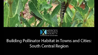 Building Pollinator Habitat in Towns and Cities South Central Region