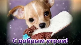 Красивое пожелание с добрым утром! Доброе утро!