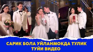 Сарик Бола уйланмокда тулик туйи видео