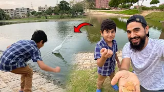 Fishes ko khana khilaney agae 🐟 Mustafa Hanif Vlogs