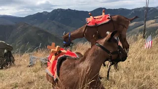 Hike to B-47 Ridge, Montana