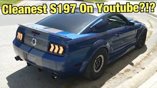 I CAN'T BELIEVE HOW MUCH THIS CHANGED MY MUSTANG!!!