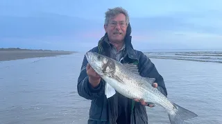 Back On The Bass! Sea Fishing The Bristol Channel Shore  Brean April 2024