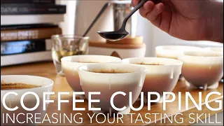 COFFEE CUPPING - Increasing Your Coffee Tasting Skill