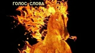 Бог верен Своему Слову - плод приносит Слово