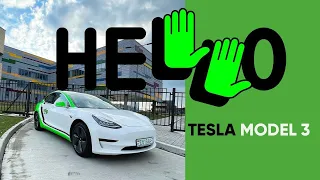 TESLA MODEL 3 ОБЗОР HELLO каршеринг Минск