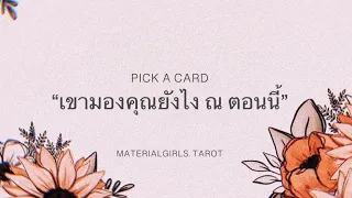 Pick a Card : เขามองคุณยังไงตอนนี้ (แอบรู้เรื่องอะไรเกี่ยวกับคุณบ้าง) 🐬 Timeless