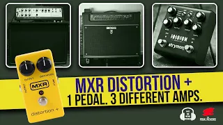 1 PEDAL, 3 AMPS! - MXR DISTORTION +