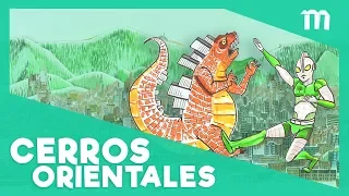 ¿Construir en los Cerros Orientales de Bogotá?