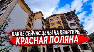 🔴 Какие сейчас ЦЕНЫ на Красной Поляне - КВАРТИРЫ : Недвижимость Красная Поляна ЖК ЭДЕЛЬВЕЙС