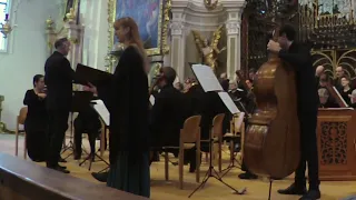 Mozart: Grabmusik, K. 42 - IV. Aria. Betracht dies Herz und frage mich (Live)