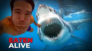 Friends Watch in Terror as Great White Shark Devours Diver!